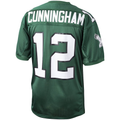 harde P.Eagles 1992 #12 Randall Cunningham Mitchell & Ness Green Authentic Throwback Retired Player Stitched Puhic Jersey