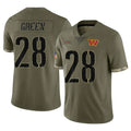 harde W.Commanders #28 Darrell Green Player  Salute To Service Olive Limited Stitched Jerseys
